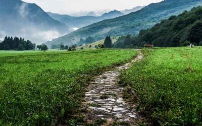 The Noble Eightfold Path