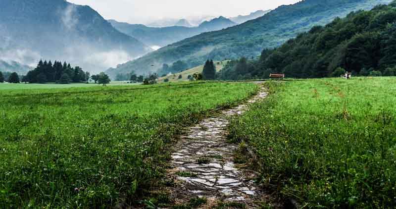 The Noble Eightfold Path