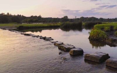 Foundations of the Noble Eightfold Path