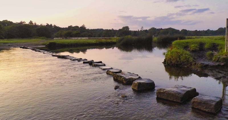 Foundations of the Noble Eightfold Path