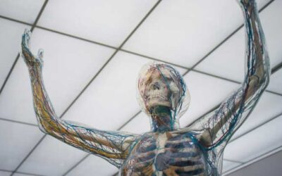 Is the Mind-Body Problem a Problem at All?