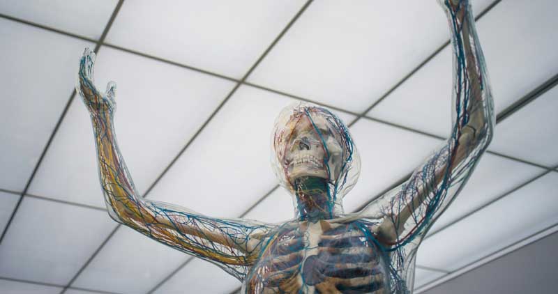 Is the Mind-Body Problem a Problem at All?