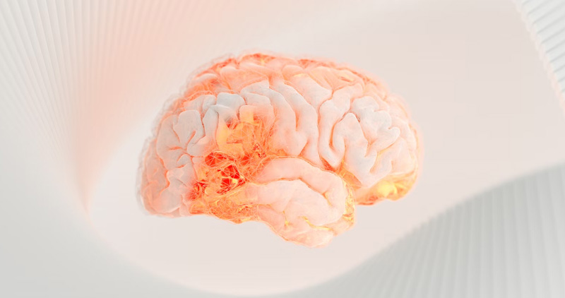 Seven Facts About the Brain That Incline the Mind to Joy