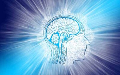 Your Wonderful Brain