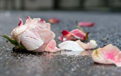 Coping with Loss: Implications of Neuroscience and Contemplative Wisdom, Part One