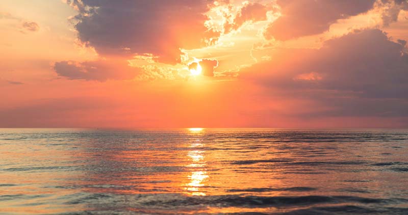 Peace of Mind: Emotions, the Limbic System, and Equanimity