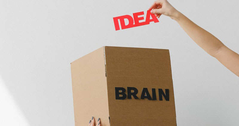 Mind Changing Brain Changing Mind