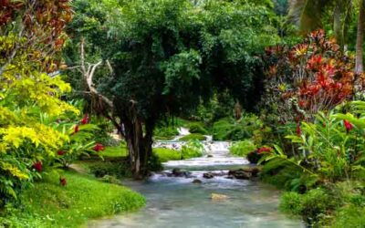 Eddies in the Stream