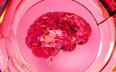 The Neurology of Awareness and Self