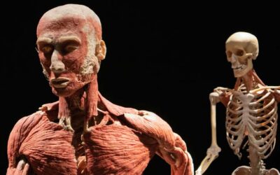 Awareness of Your Body