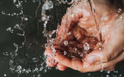 Ways to Deepen Householder Practice