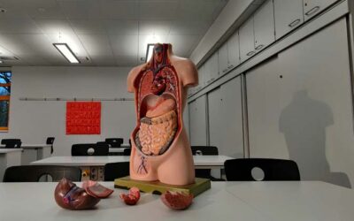 Filling Your Body’s Cupboard