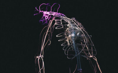 Relaxed and Contented: Activating the Parasympathetic Wing of Your Nervous System