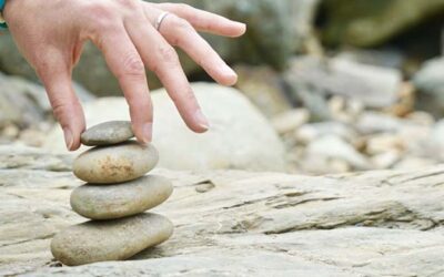 The Four Establishments of Mindfulness