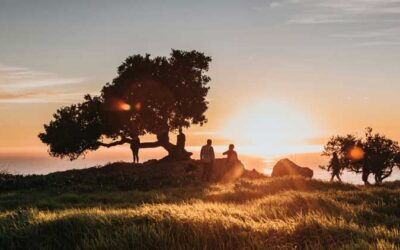 From Sorrow to Contentment