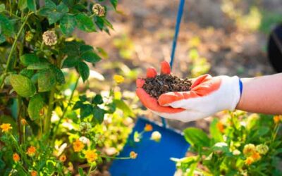 Tending to the Causes