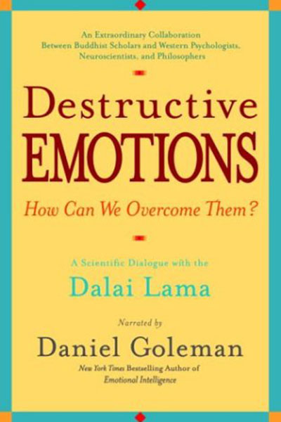 Emotional Intelligence Daniel Goleman